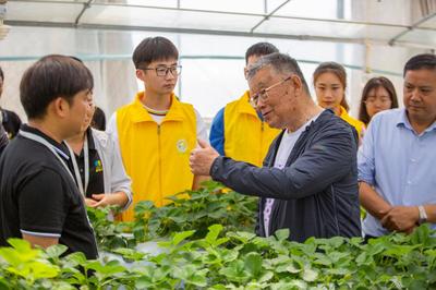 傳承亞夫精神，貢獻青春力量 江蘇農林職業(yè)技術學院新禾助農服務團的鄉(xiāng)村振興實踐